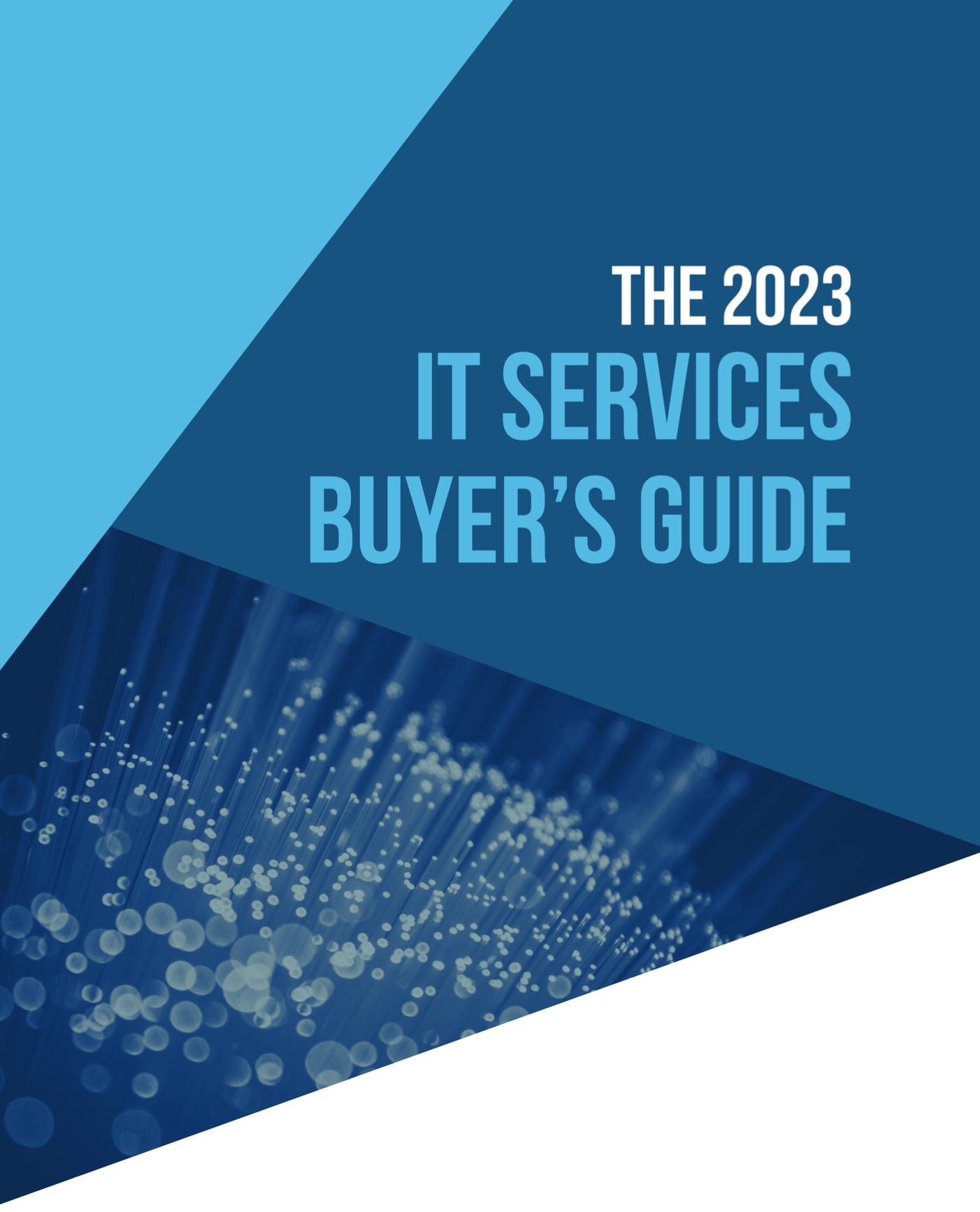 IT buyers guide cover